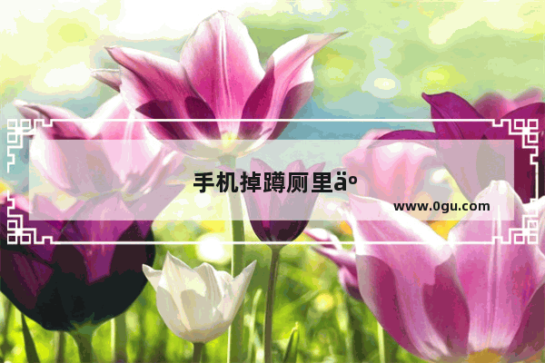 手机掉蹲厕里了应该怎么捡起来