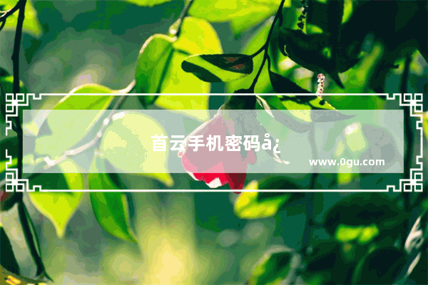 首云手机密码忘了怎么解锁