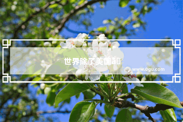 世界除了美国、韩国、日本和中国 还有其他国家在生产手机吗
