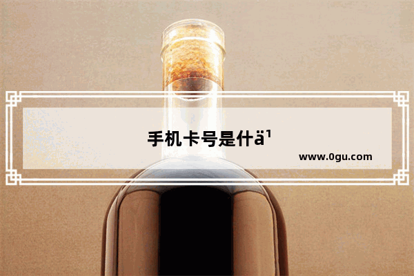 手机卡号是什么