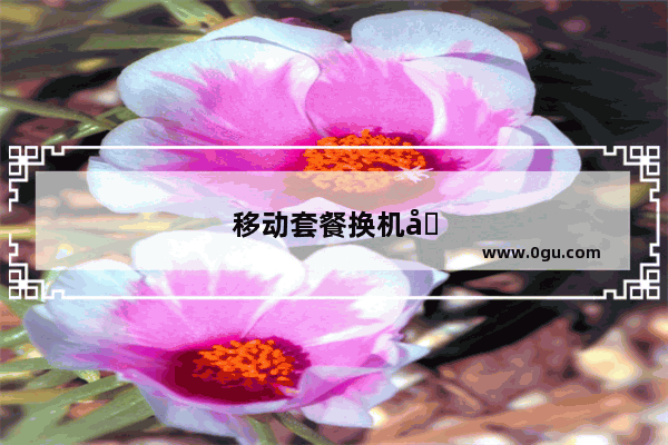 移动套餐换机划算吗