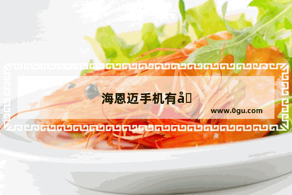 海恩迈手机有几种型号