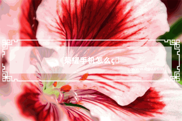 荣耀手机怎么看ip地址