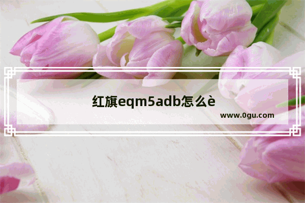 红旗eqm5adb怎么连接手机