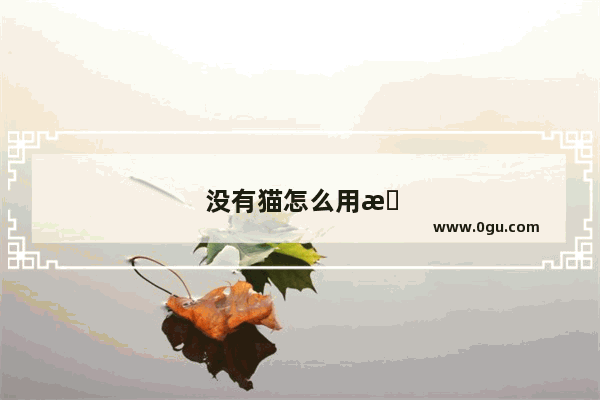没有猫怎么用手机设置路由器