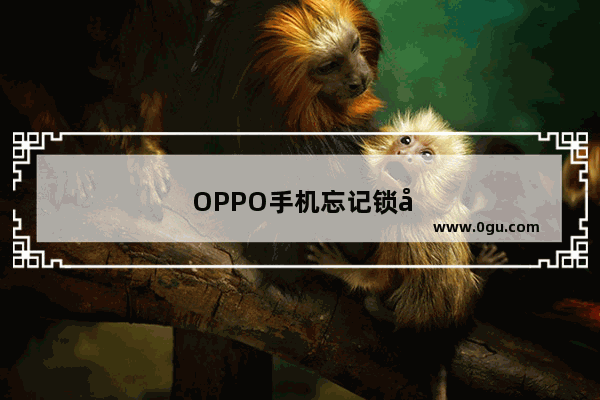 OPPO手机忘记锁屏密码怎么办