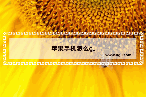 苹果手机怎么看真假识别方法