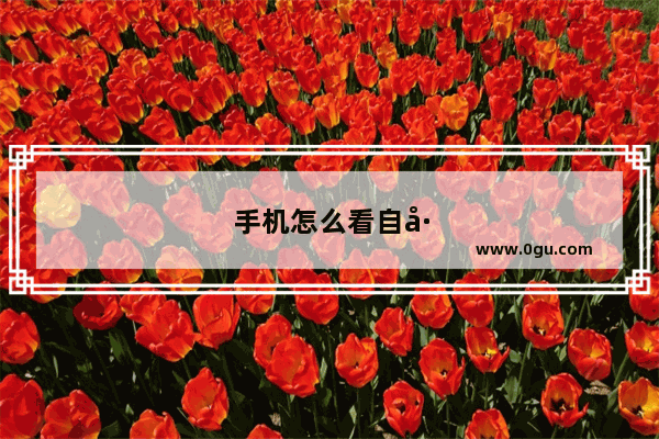 手机怎么看自己的IP