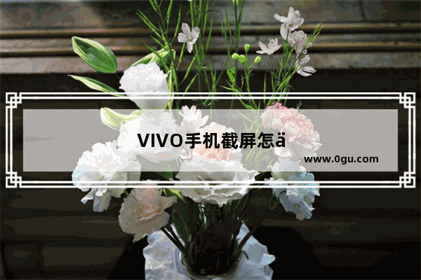 VIVO手机截屏怎么截