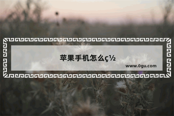 苹果手机怎么置换新手机需要多少钱