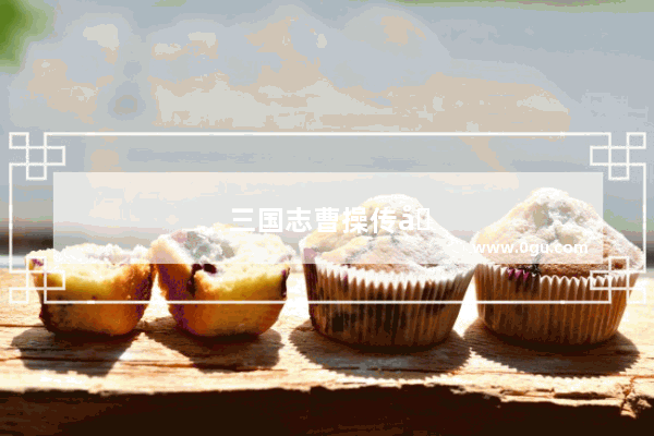 三国志曹操传关卡流程