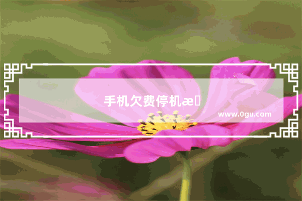 手机欠费停机怎么恢复