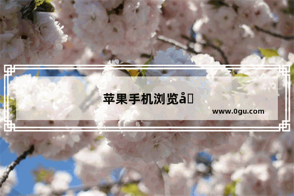 苹果手机浏览器设置里的实验性webkit功能是什么意思。开启这些选项什么用处