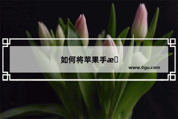 如何将苹果手机通讯录导入另一个手机