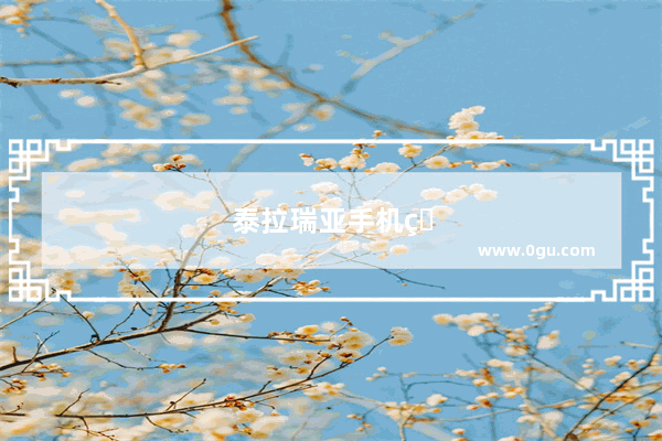 泰拉瑞亚手机版1.4怎么安装模组