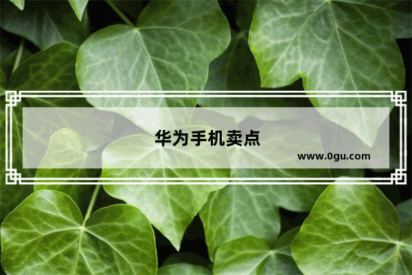 华为手机卖点