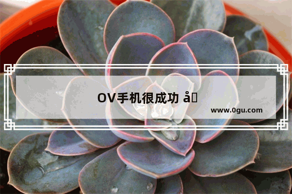 OV手机很成功 假设有人做出完全同质化 低调低价营销 会不会夺取OV分额