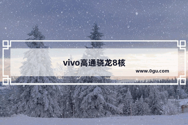 vivo高通骁龙8核什么档次