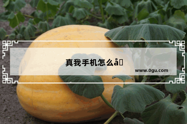 真我手机怎么关闭桌面精灵