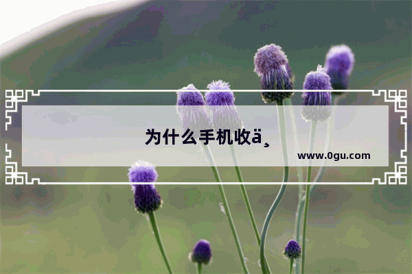 为什么手机收不到验证码如何解决