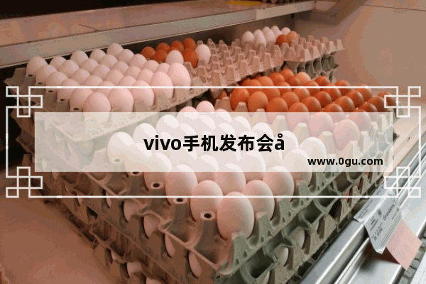 vivo手机发布会在哪看