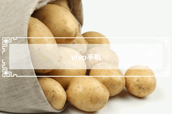 vivo手机