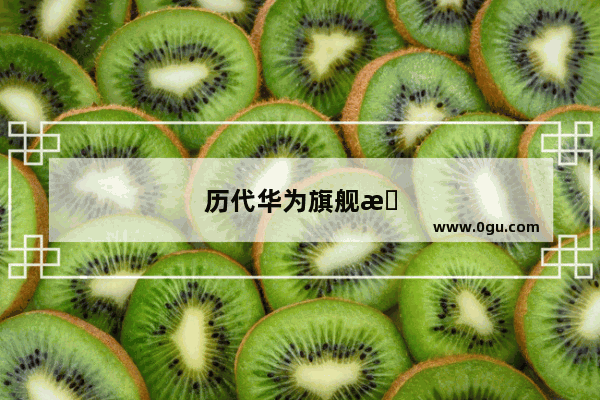 历代华为旗舰机重量