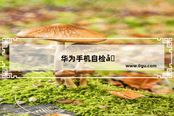 华为手机自检功能在哪