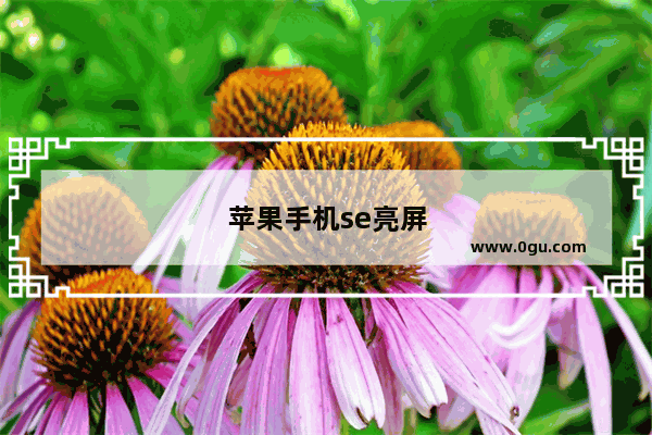 苹果手机se亮屏有蓝边框怎么关闭
