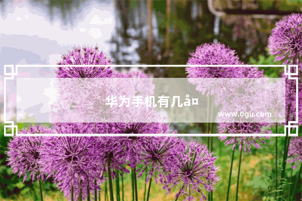 华为手机有几大系列 特点分别是什么