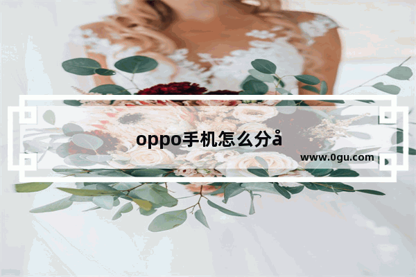 oppo手机怎么分屏