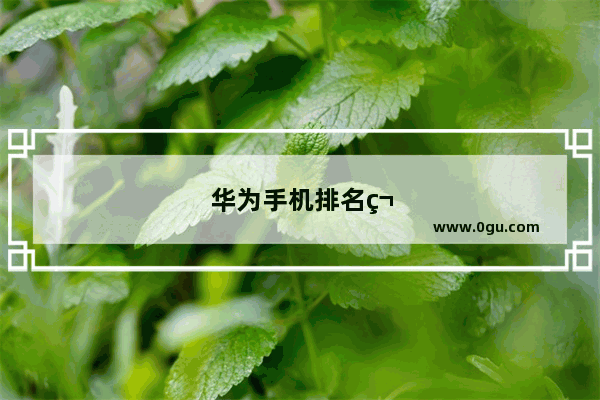华为手机排名第几名