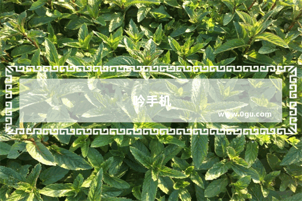 吟手机