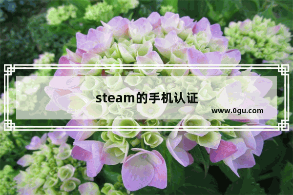 steam的手机认证器是怎么使用