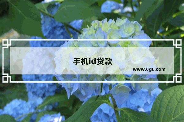 手机id贷款