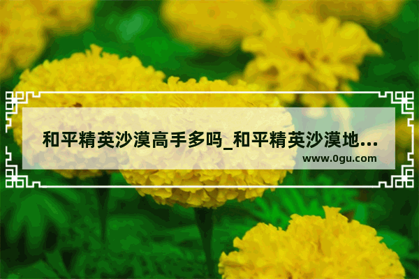 和平精英沙漠高手多吗_和平精英沙漠地图有哪些好东西