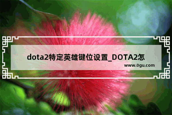 dota2特定英雄键位设置_DOTA2怎么将键位改成dota原有键位
