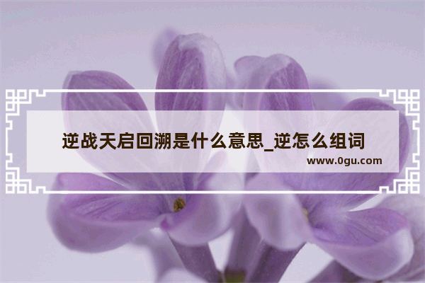 逆战天启回溯是什么意思_逆怎么组词