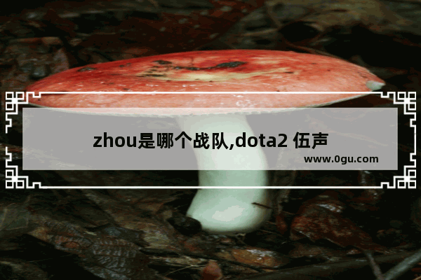 zhou是哪个战队,dota2 伍声