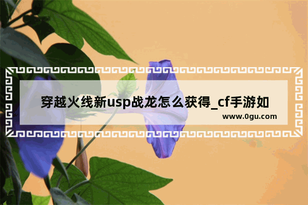 穿越火线新usp战龙怎么获得_cf手游如何获得81式战龙