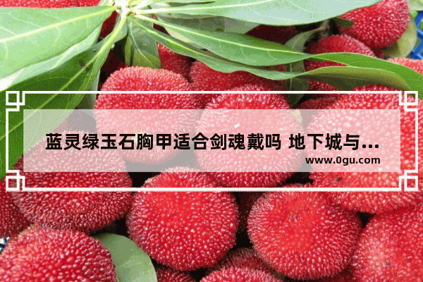 蓝灵绿玉石胸甲适合剑魂戴吗 地下城与勇士绿色剑魂