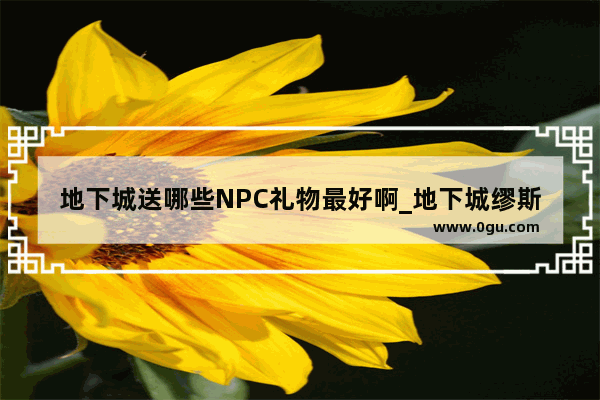 地下城送哪些NPC礼物最好啊_地下城缪斯选什么装备