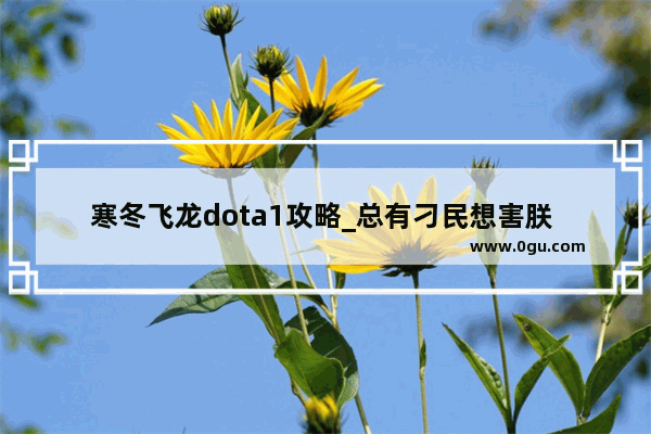 寒冬飞龙dota1攻略_总有刁民想害朕 听说是DOTA2骷髅王的台词
