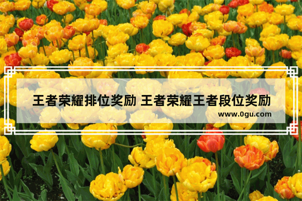 王者荣耀排位奖励 王者荣耀王者段位奖励
