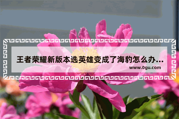 王者荣耀新版本选英雄变成了海豹怎么办 王者荣耀改版英雄