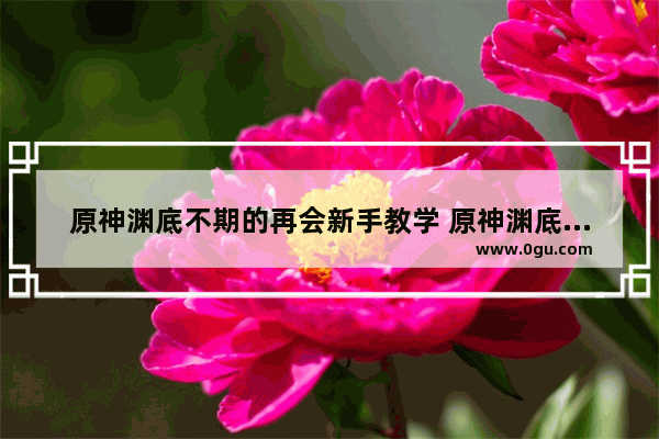 原神渊底不期的再会新手教学 原神渊底攻略