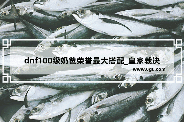 dnf100级奶爸荣誉最大搭配_皇家裁决者套装好吗