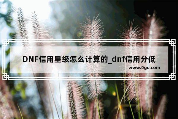 DNF信用星级怎么计算的_dnf信用分低于350怎么解除