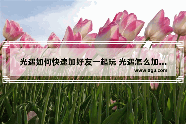 光遇如何快速加好友一起玩 光遇怎么加好友第一句