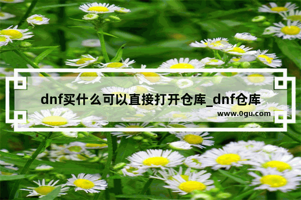 dnf买什么可以直接打开仓库_dnf仓库密码怎么设置